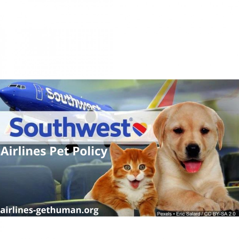 Southwest Airlines Pet Policy