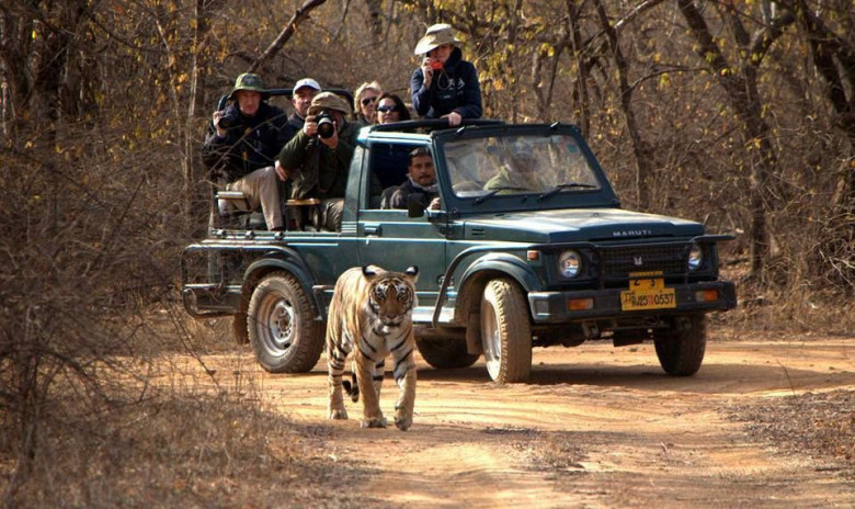 Ranthambore Tour Packages