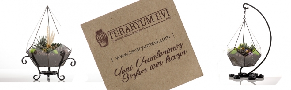 teraryumevi