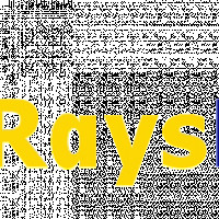 raysdigitalmarketing