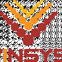 Vinsys