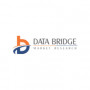 Databrige