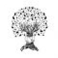 islandtreestyle