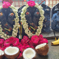 naga pratishta
