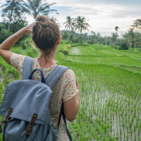 backpackeroo