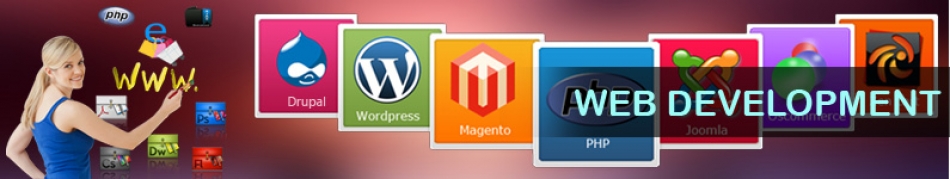 vwebdevelopment
