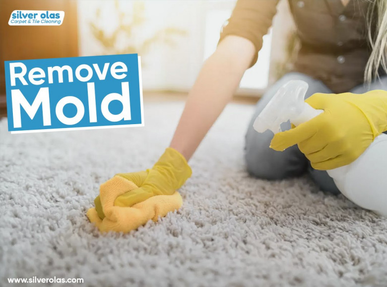 Mold Remove