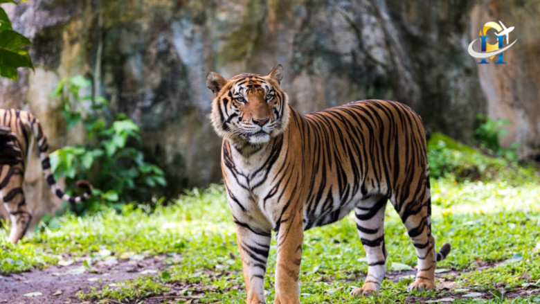 Places To Visit In December In India
