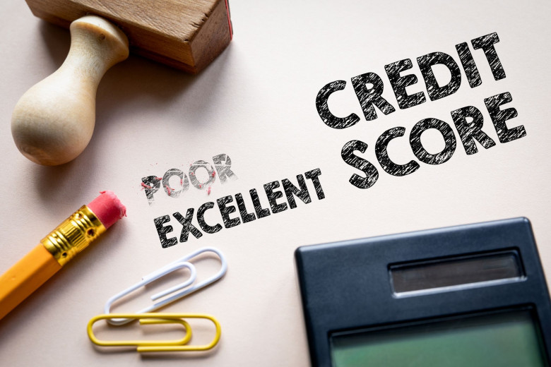 Credit Repair Agent