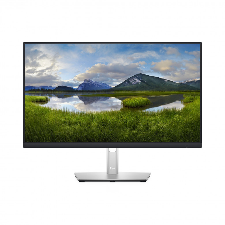 DELL P2422H Computer Monitor 60.5 cm