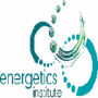 energeticsinstitute01