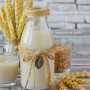 milkfactorysg