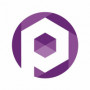 platinumseoservices